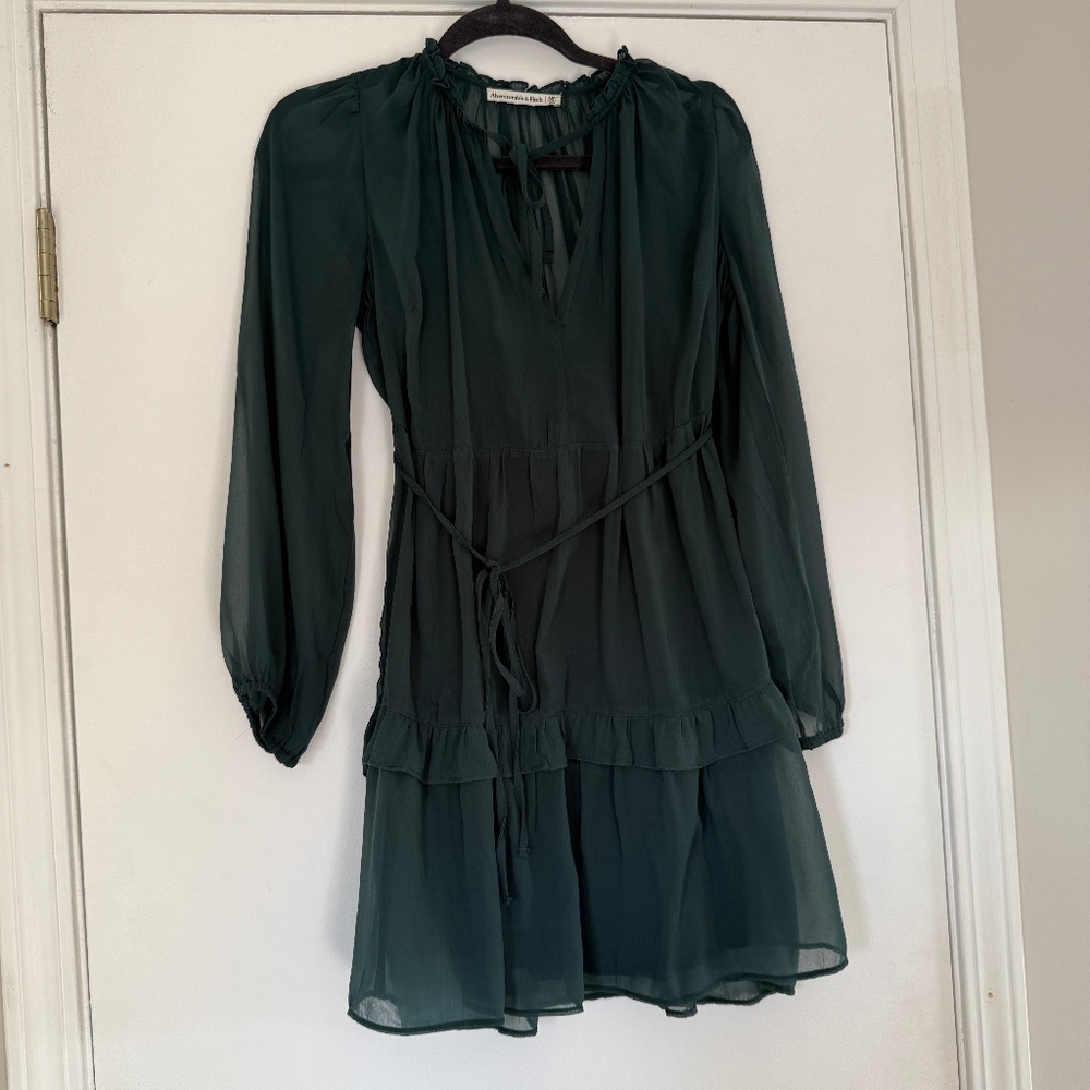 Abercrombie & Fitch Women’s Long-Sleeve Chiffon Mini Dress